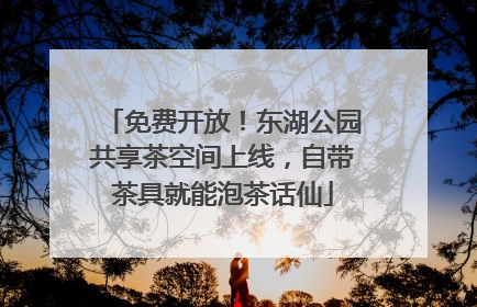 免费开放！东湖公园共享茶空间上线，自带茶具就能泡茶话仙
