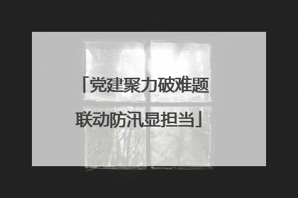 党建聚力破难题 联动防汛显担当
