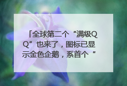 全球第二个“满级QQ”也来了，图标已显示金色企鹅，系首个“满级QQ”的小号