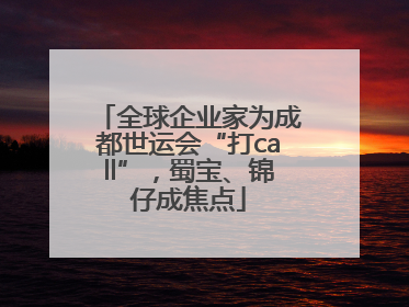 全球企业家为成都世运会“打call”，蜀宝、锦仔成焦点