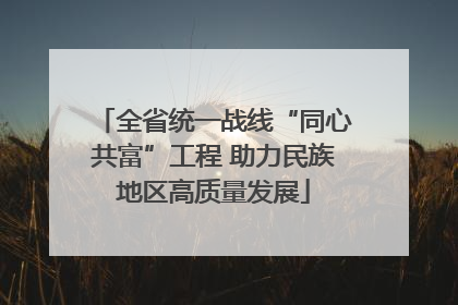 全省统一战线“同心共富”工程 助力民族地区高质量发展