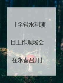 全省水利项目工作现场会在永春召开