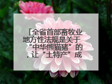 全省首部畜牧业地方性法规是关于“中华熊猫猪”的，让“土特产”成为“新国潮”，让“农产品”升格为“城市IP”