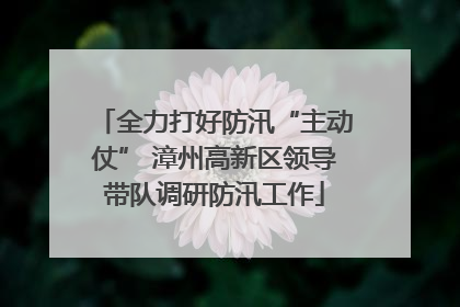全力打好防汛“主动仗” 漳州高新区领导带队调研防汛工作