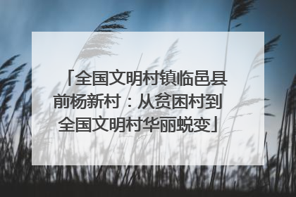 全国文明村镇临邑县前杨新村：从贫困村到全国文明村华丽蜕变
