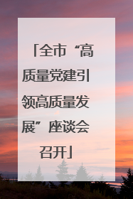 全市“高质量党建引领高质量发展”座谈会召开