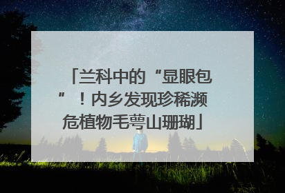 兰科中的“显眼包”！内乡发现珍稀濒危植物毛萼山珊瑚