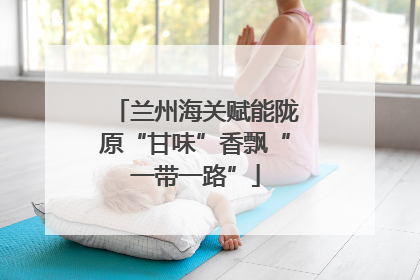 兰州海关赋能陇原“甘味”香飘“一带一路”