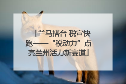 兰马搭台 税宣快跑——“税动力”点亮兰州活力新赛道