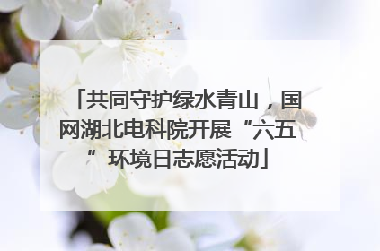 共同守护绿水青山，国网湖北电科院开展“六五”环境日志愿活动
