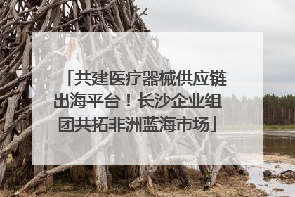共建医疗器械供应链出海平台！长沙企业组团共拓非洲蓝海市场