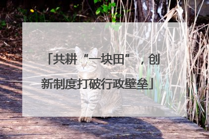 共耕“一块田”，创新制度打破行政壁垒