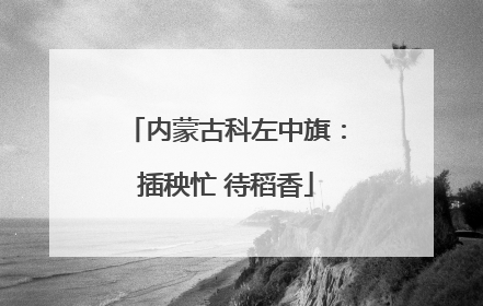 内蒙古科左中旗：插秧忙 待稻香