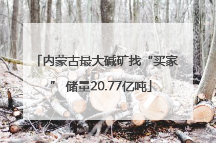 内蒙古最大碱矿找“买家” 储量20.77亿吨