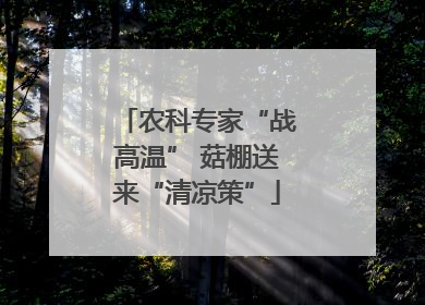 农科专家“战高温” 菇棚送来“清凉策”