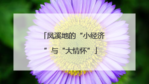 凤溪地的“小经济”与“大情怀”