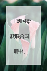 刘国梁获联合国聘书