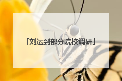 刘运到部分院校调研