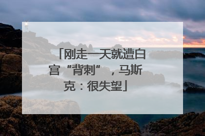 刚走一天就遭白宫“背刺”，马斯克：很失望