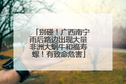 别碰！广西南宁雨后路边出现大量非洲大蜗牛和福寿螺！有致命危害
