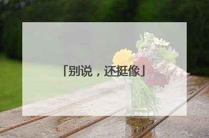 别说，还挺像