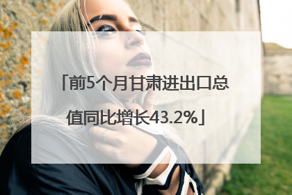 前5个月甘肃进出口总值同比增长43.2%