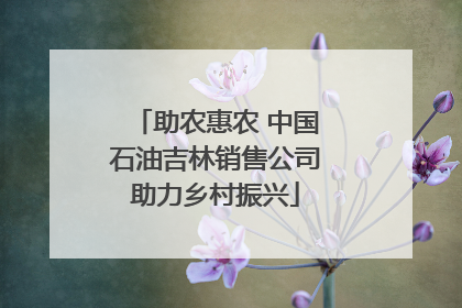 助农惠农 中国石油吉林销售公司助力乡村振兴