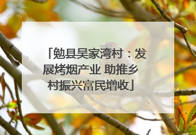 勉县吴家湾村：发展烤烟产业 助推乡村振兴富民增收