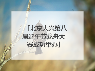 北京大兴第八届端午节龙舟大赛成功举办