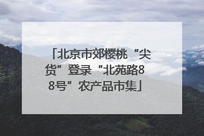 北京市郊樱桃“尖货”登录“北苑路88号”农产品市集