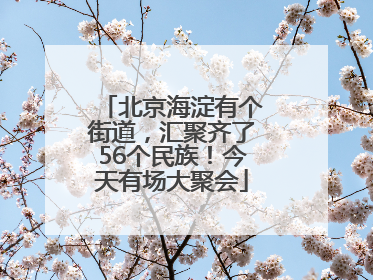 北京海淀有个街道，汇聚齐了56个民族！今天有场大聚会