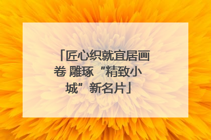 匠心织就宜居画卷 雕琢“精致小城”新名片