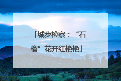 城步检察：“石榴”花开红艳艳