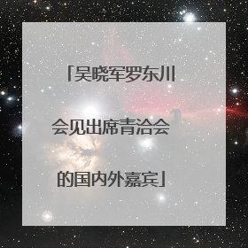 吴晓军罗东川会见出席青洽会的国内外嘉宾