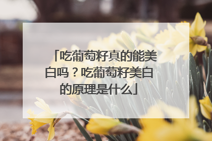 吃葡萄籽真的能美白吗？吃葡萄籽美白的原理是什么