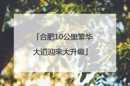 合肥10公里繁华大道迎来大升级