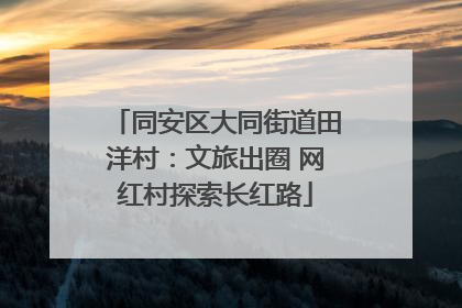 同安区大同街道田洋村：文旅出圈 网红村探索长红路