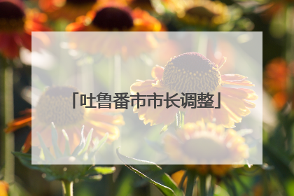 吐鲁番市市长调整