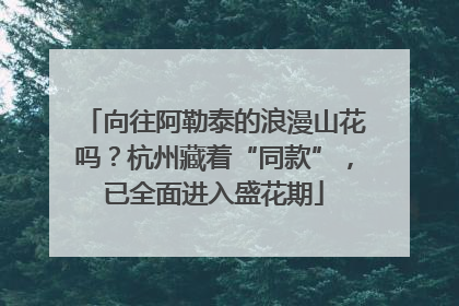 向往阿勒泰的浪漫山花吗？杭州藏着“同款”，已全面进入盛花期