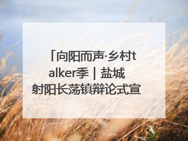 向阳而声·乡村talker季｜盐城射阳长荡镇辩论式宣讲有看头有热度