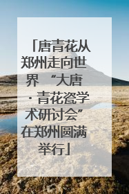 唐青花从郑州走向世界 “大唐・青花瓷学术研讨会”在郑州圆满举行