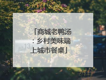 商城老鸭汤：乡村美味端上城市餐桌