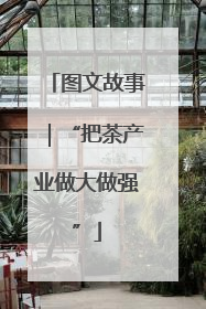图文故事｜“把茶产业做大做强”