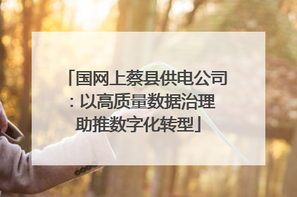 国网上蔡县供电公司：以高质量数据治理 助推数字化转型