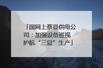 国网上蔡县供电公司：加强设备巡视 护航“三夏”生产