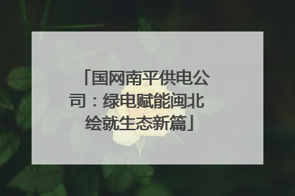 国网南平供电公司：绿电赋能闽北 绘就生态新篇
