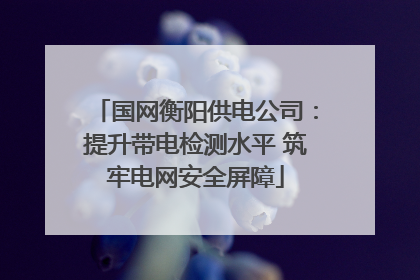 国网衡阳供电公司：提升带电检测水平 筑牢电网安全屏障