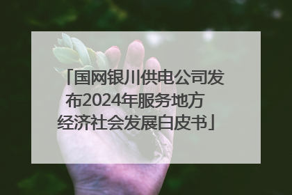 国网银川供电公司发布2024年服务地方经济社会发展白皮书