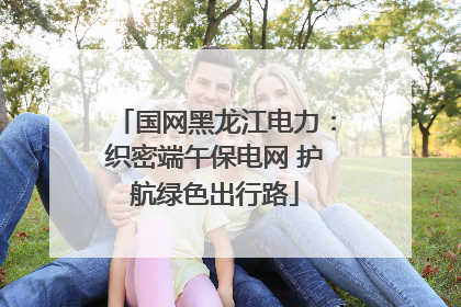 国网黑龙江电力：织密端午保电网 护航绿色出行路