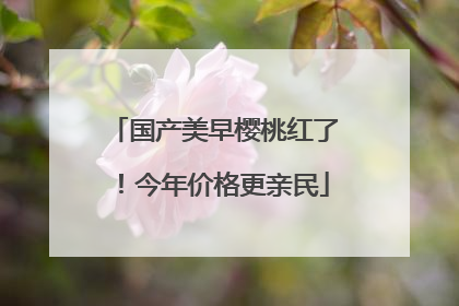 国产美早樱桃红了！今年价格更亲民